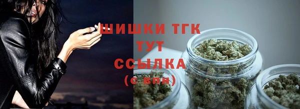 гашик Кукмор