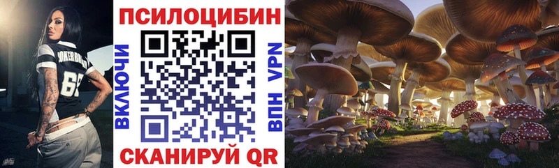 Псилоцибиновые грибы мухоморы  Купить закладки  Чебаркуль 