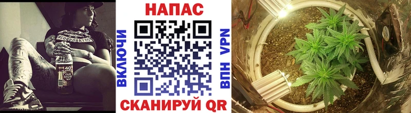 Бошки Шишки семена  Купить где  Чебаркуль 